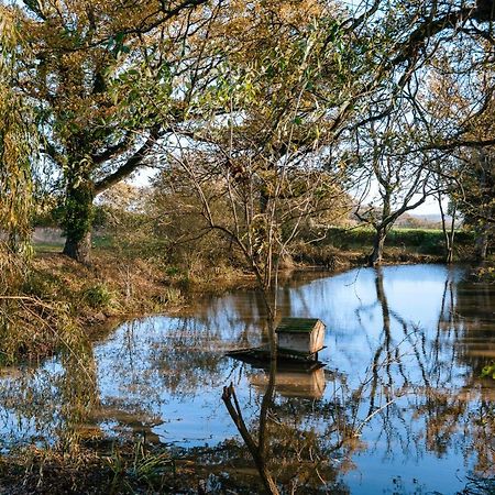 Rolvenden Charming Picturesque Cottage - Nr Tenterden & Rye, Pets Welcomed מראה חיצוני תמונה