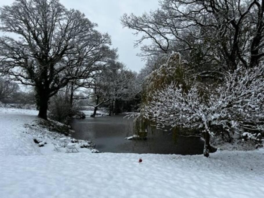 Rolvenden Charming Picturesque Cottage - Nr Tenterden & Rye, Pets Welcomed מראה חיצוני תמונה