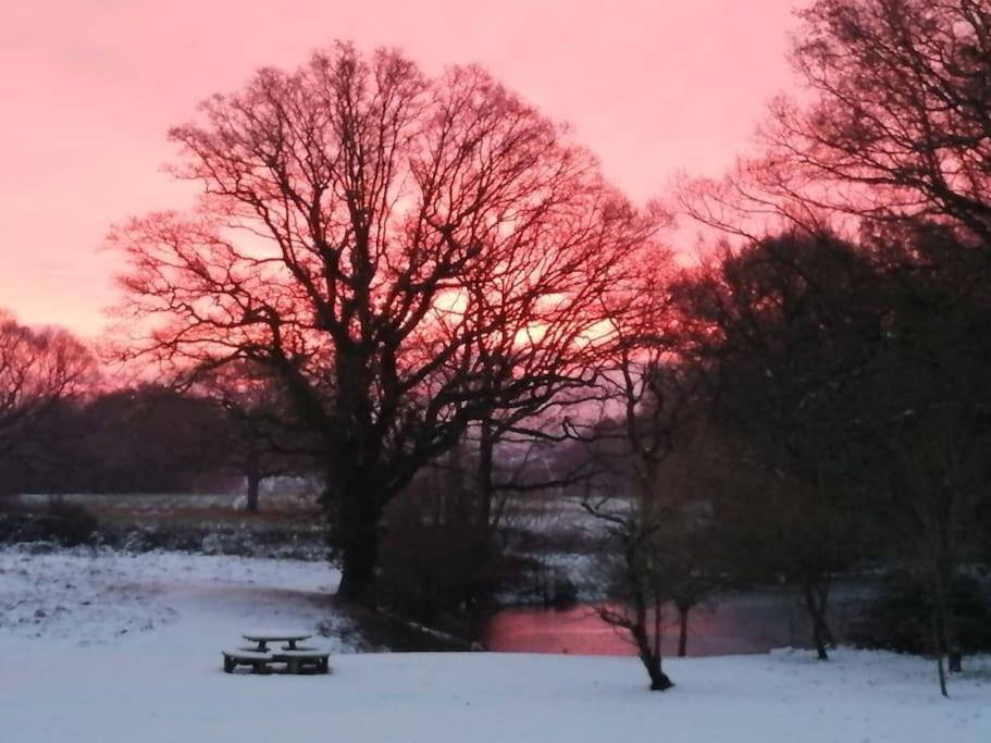 Rolvenden Charming Picturesque Cottage - Nr Tenterden & Rye, Pets Welcomed מראה חיצוני תמונה