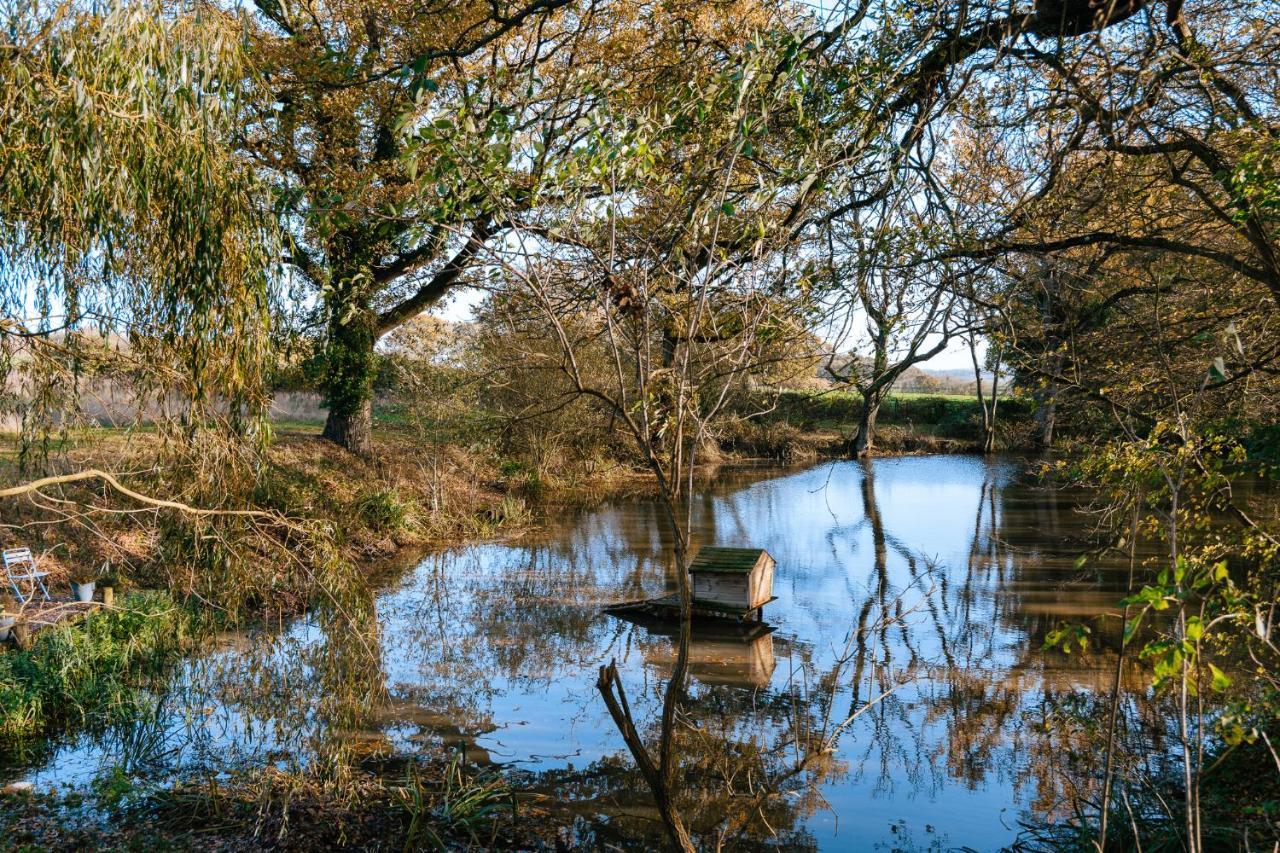 Rolvenden Charming Picturesque Cottage - Nr Tenterden & Rye, Pets Welcomed מראה חיצוני תמונה